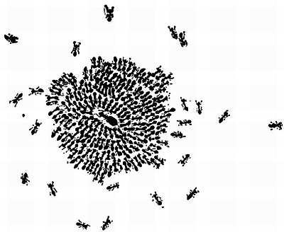 Рени Шовен - От пчелы до гориллы