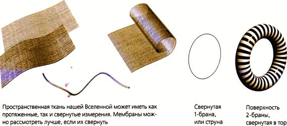 Стивен Хокинг - Мир в ореховой скорлупке