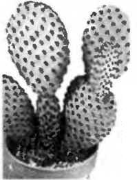 Сергей Бубновский, Сергей Андрусенко - Оздоровление позвоночника и суставов:...