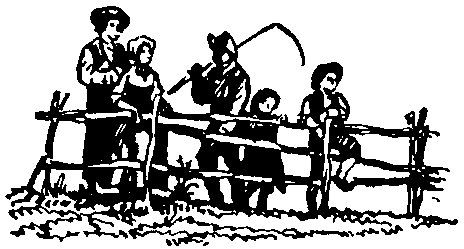 Эркман-Шатриан - История одного крестьянина