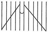 От пчелы до гориллы