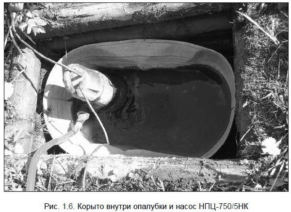 Андрей Кашкаров - Бывший горожанин в деревне. Курс выживания