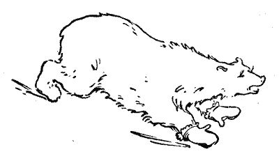 Мор Йокаи - 20 000 лет подо льдом