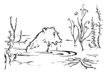 Мор Йокаи - 20 000 лет подо льдом