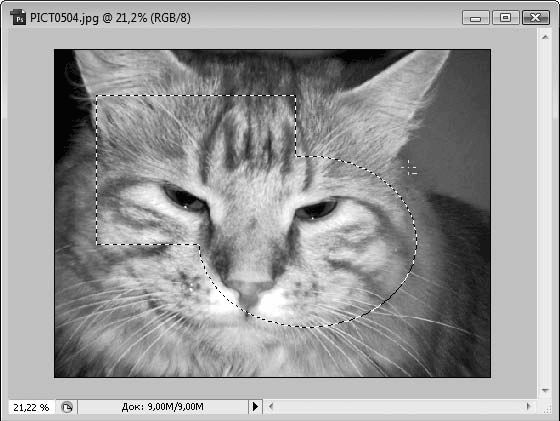 Олег Мединов - Photoshop. Мультимедийный курс
