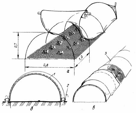 Владимир Щекин - Земляника на вашем участке