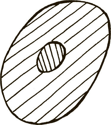 Дмитрий Верищагин - Техника одушевления предметов. Система навыков Дальнейшего...