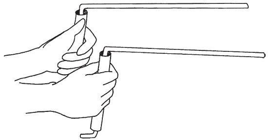 Динна Конвэй - Танцы с драконами. Мифы и легенды
