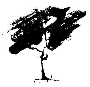 Юрий Холин, Сергей Коваль - Дух воина