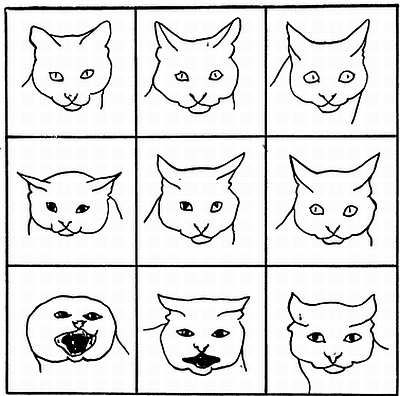 Рени Шовен - От пчелы до гориллы