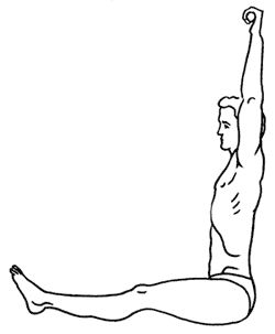 Геннадий Малахов - Биоэнергетика человека: пути повышения энергетического потенциала