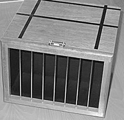 Дарья Нестерова - Хомячки