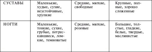 Давид Фроли - Йога от А до Я: практика асан с позиции Аюрведы