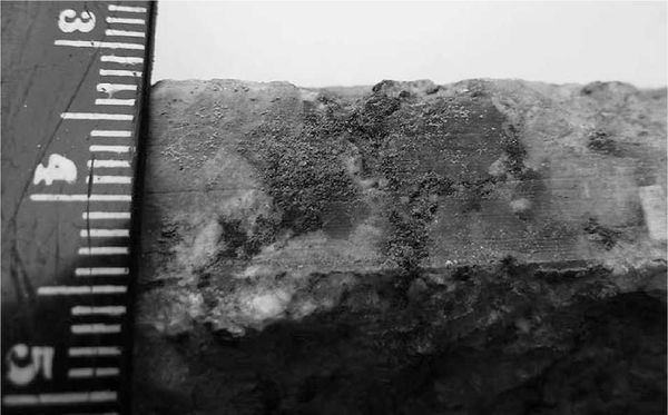 Андрей Скляров - Древние боги - кто они