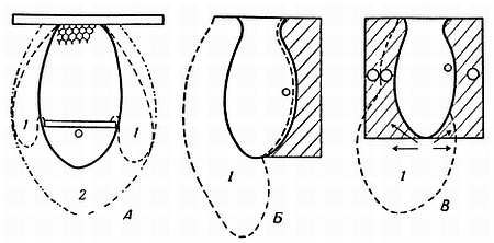 Рени Шовен - От пчелы до гориллы
