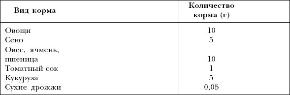 Дарья Нестерова - Хомячки