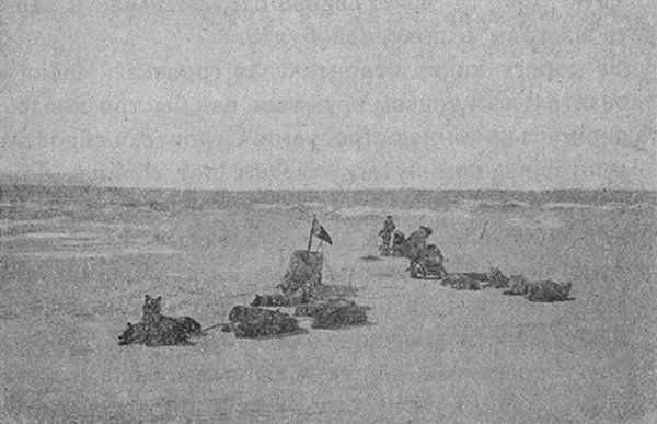 Зинаида Рихтер - На "Литке" к острову Врангеля