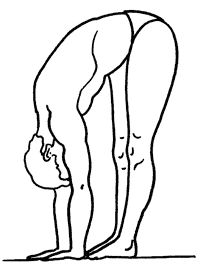 Геннадий Малахов - Биоэнергетика человека: пути повышения энергетического потенциала