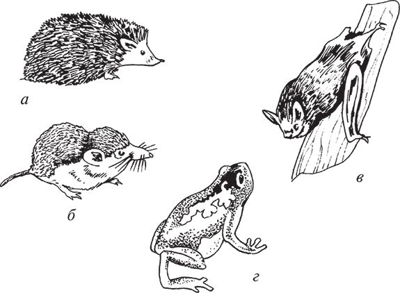 Сергей Кашин - Защита от болезней и вредителей сада и огорода. Эффективная...