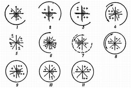 Рени Шовен - От пчелы до гориллы