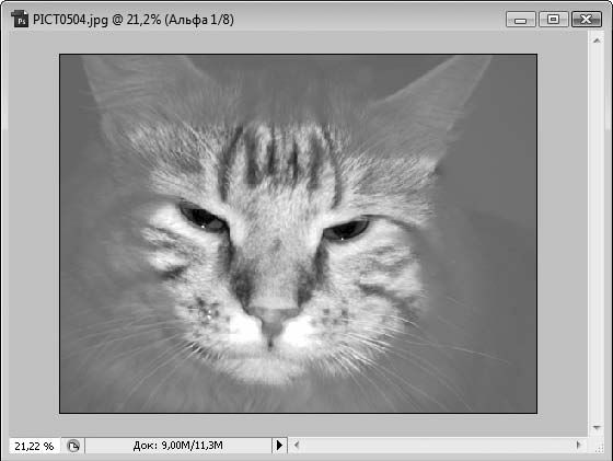 Олег Мединов - Photoshop. Мультимедийный курс