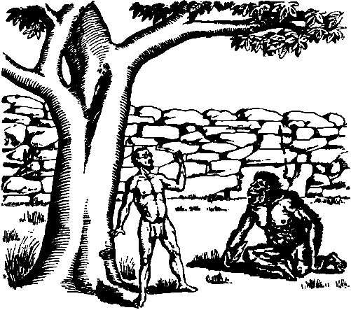 Виктор Гончаров - Долина смерти. Век гигантов