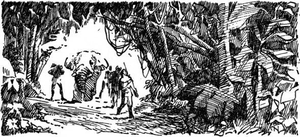 Луи Жаколио - Покоритель джунглей