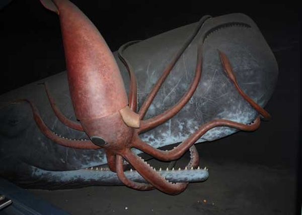 Владимир Коркош - Этот загадочный подводный мир