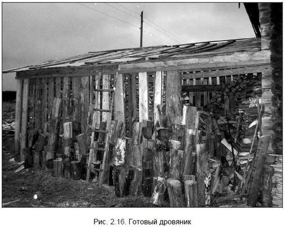 Андрей Кашкаров - Бывший горожанин в деревне. Курс выживания