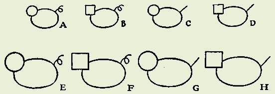 Самюэл Хаякава - Язык в действии: Руководство к ясному мышлению, чтению и письму