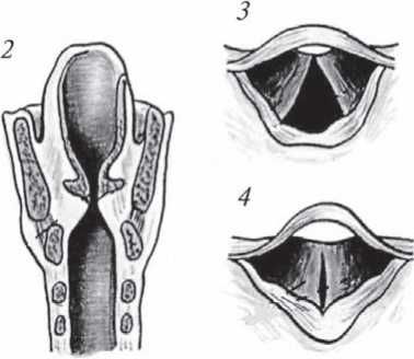 С. Каплун - Физика