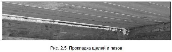 Андрей Кашкаров - Бывший горожанин в деревне. Курс выживания