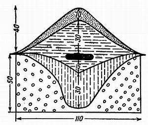 Рени Шовен - От пчелы до гориллы
