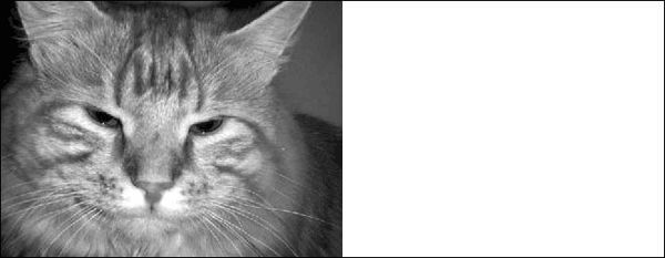 Олег Мединов - Photoshop. Мультимедийный курс