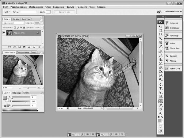 Олег Мединов - Photoshop. Мультимедийный курс