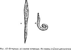 Геннадий Малахов - Жизнь без паразитов