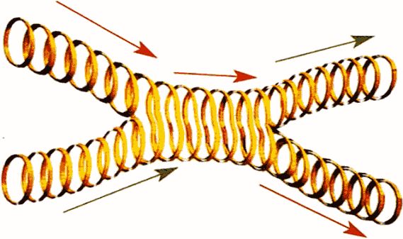 Стивен Хокинг - Мир в ореховой скорлупке