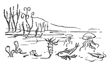 Мор Йокаи - 20 000 лет подо льдом