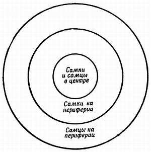 Рени Шовен - От пчелы до гориллы