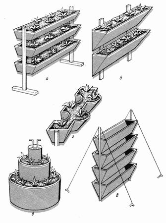 Владимир Щекин - Земляника на вашем участке