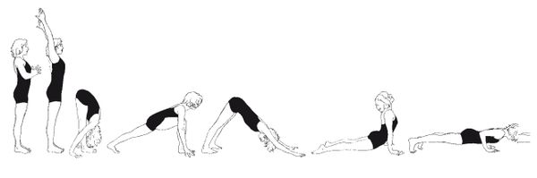 Уильям Броуд - Научная йога. Демистификация