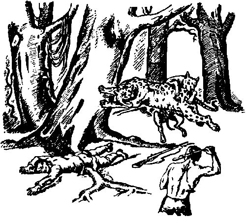 Виктор Гончаров - Долина смерти. Век гигантов