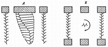 Рени Шовен - От пчелы до гориллы