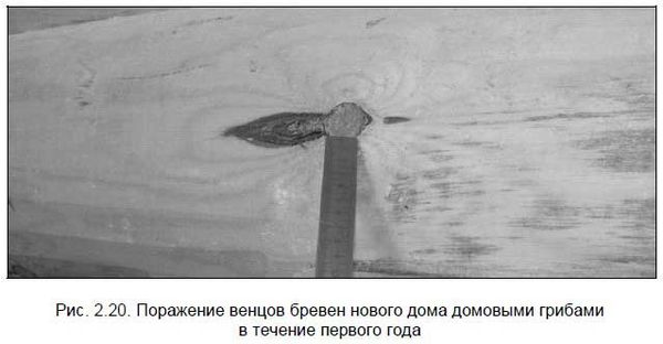 Андрей Кашкаров - Бывший горожанин в деревне. Курс выживания