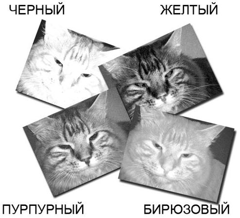 Олег Мединов - Photoshop. Мультимедийный курс