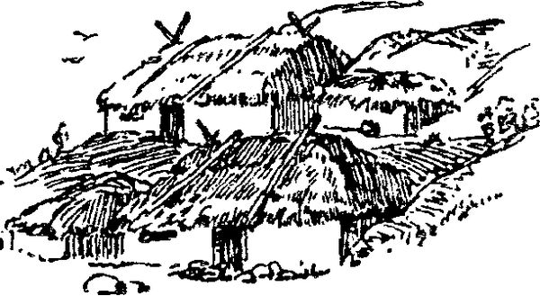 Ольга Гурьян - Набег