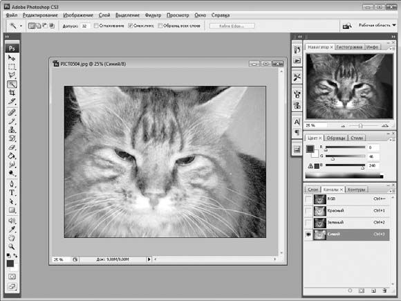Олег Мединов - Photoshop. Мультимедийный курс