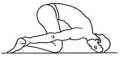 Геннадий Малахов - Биоэнергетика человека: пути повышения энергетического потенциала