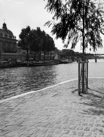 Александр Тягны-Рядно, Татьяна Щербина - Франция. Магический шестиугольник