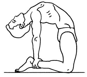 Геннадий Малахов - Биоэнергетика человека: пути повышения энергетического потенциала